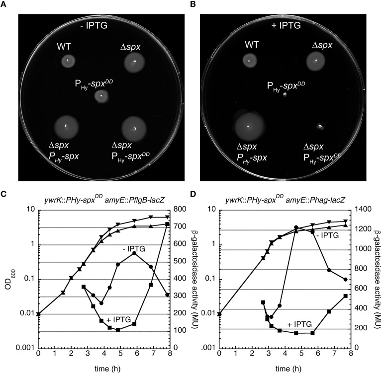 Figure 6