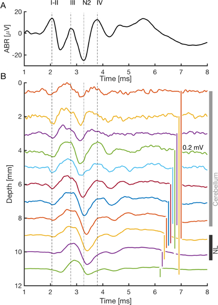 Figure 1: