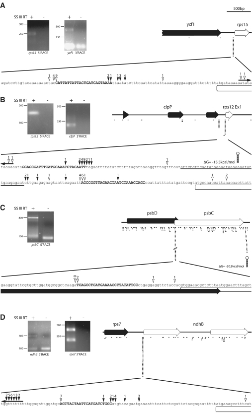 Figure 5.