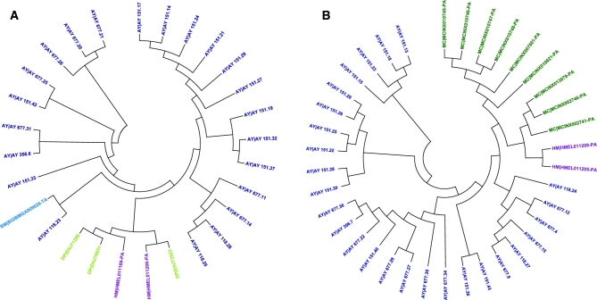 Figure 5: