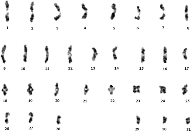 Figure 6: