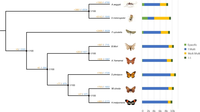 Figure 4: