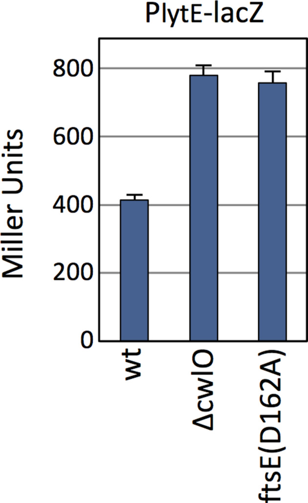 Figure 1—figure supplement 1.