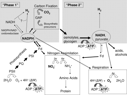 FIG. 11.