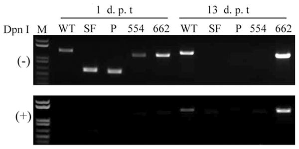 Fig 4