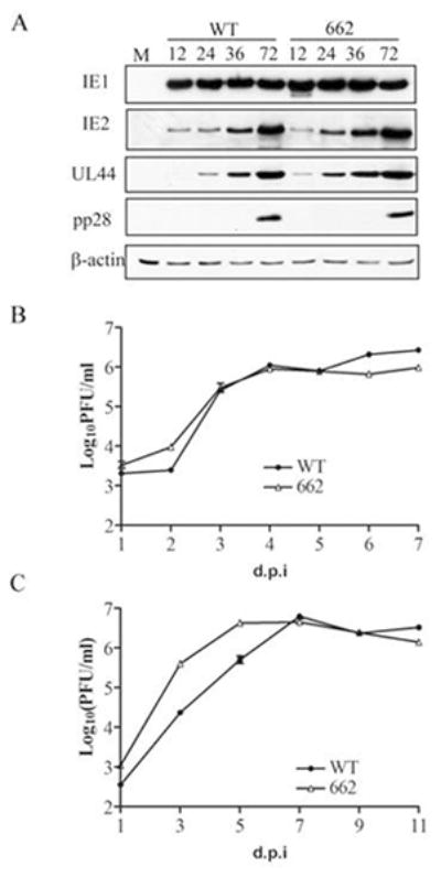 Fig 5