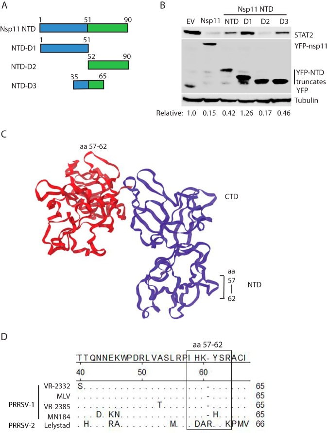 FIG 7