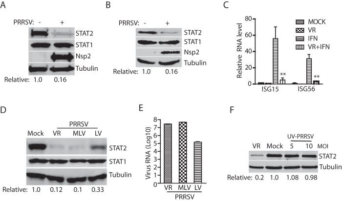 FIG 1