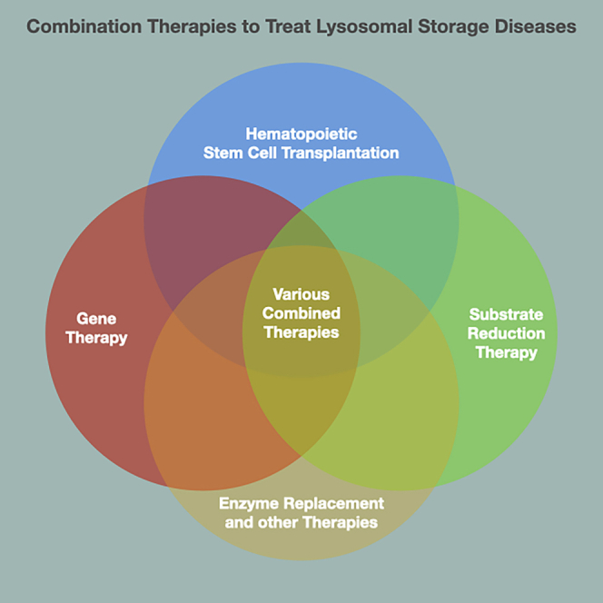 Preclinical studies in Krabbe disease: A model for the investigation of ...