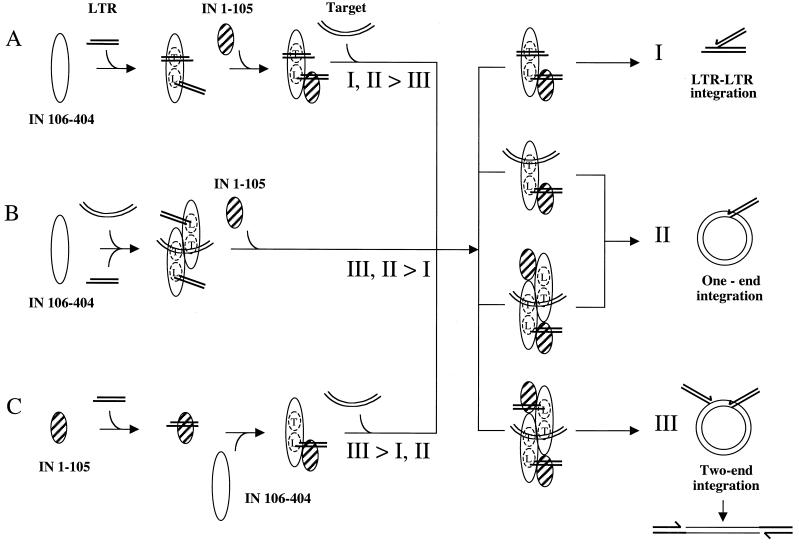 FIG. 6