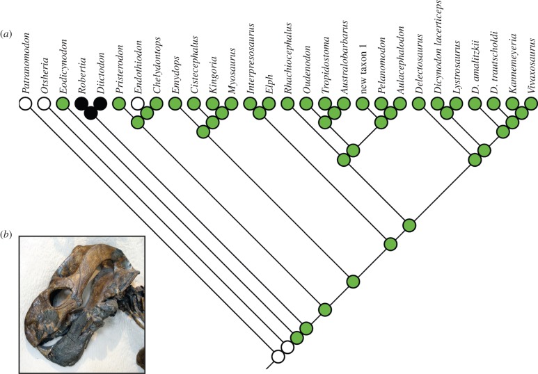 Figure 5.