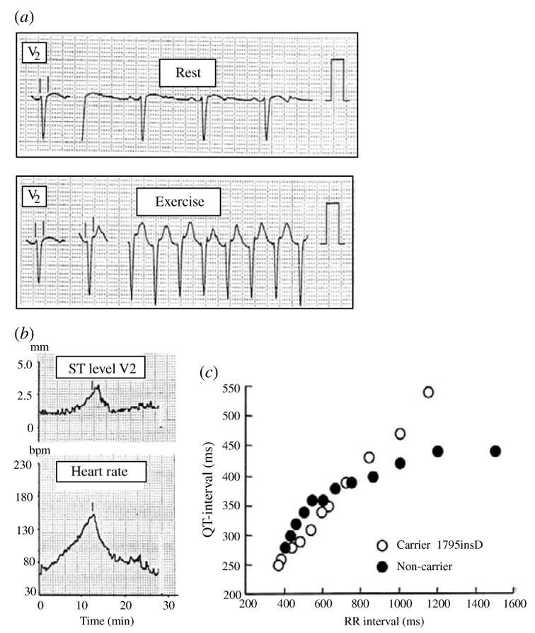 Fig. 17