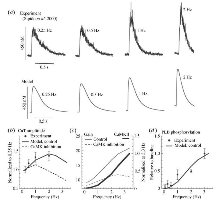 Fig. 32