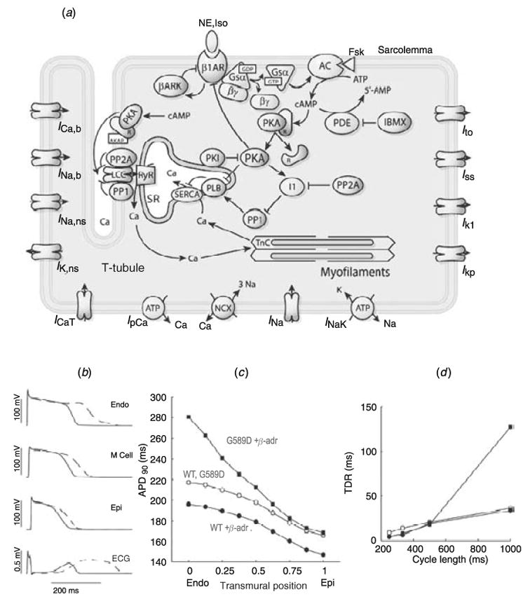 Fig. 33