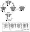 Fig. 11