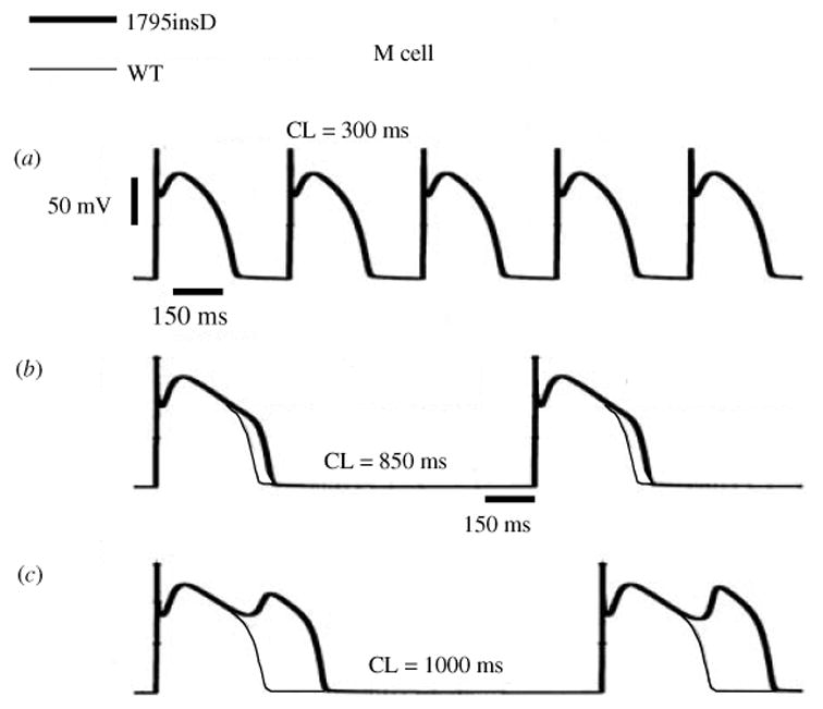 Fig. 23