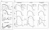 Fig. 26