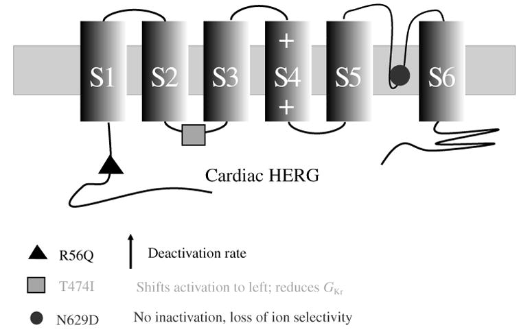 Fig. 27