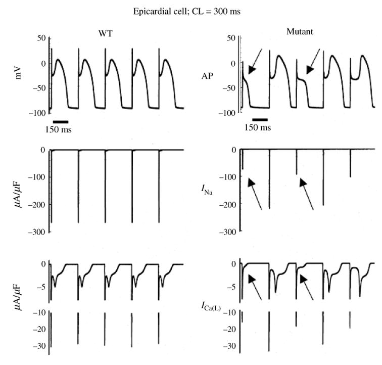 Fig. 22