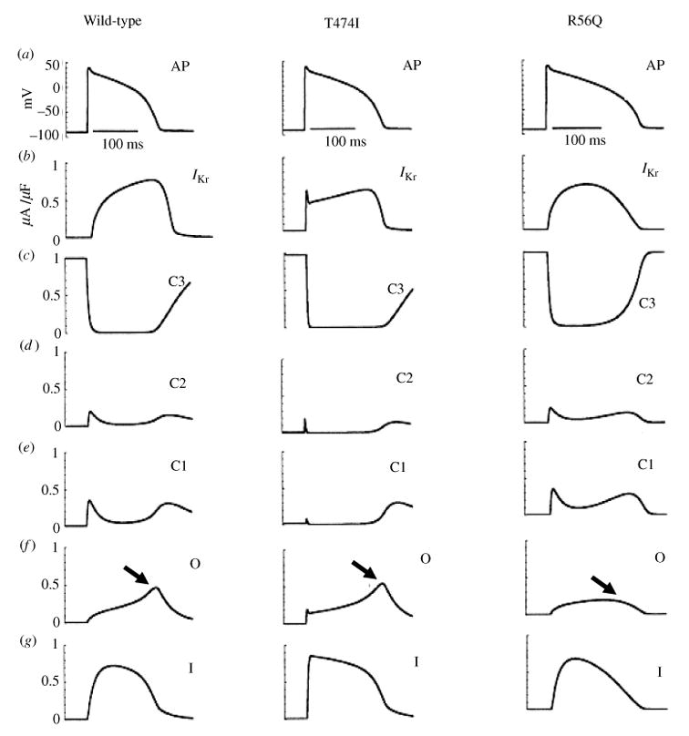 Fig. 28