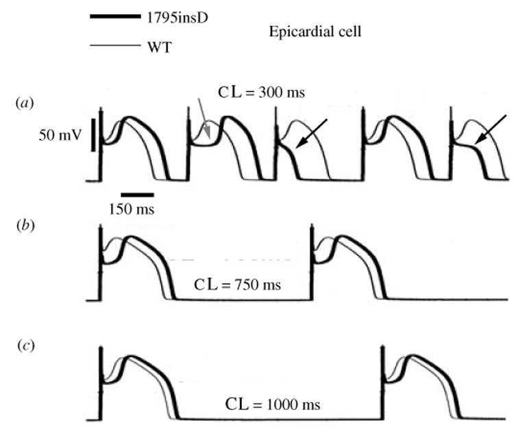 Fig. 21