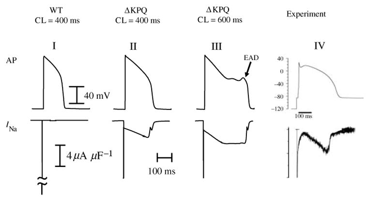 Fig. 13