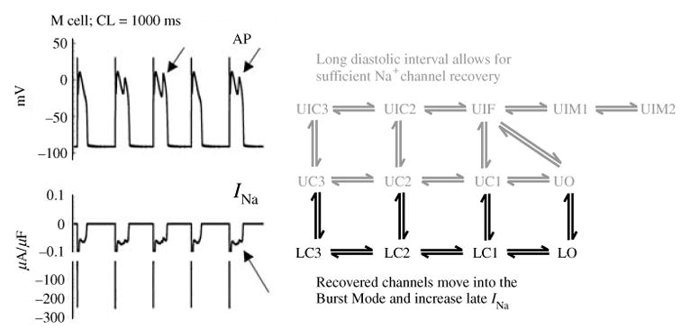 Fig. 24