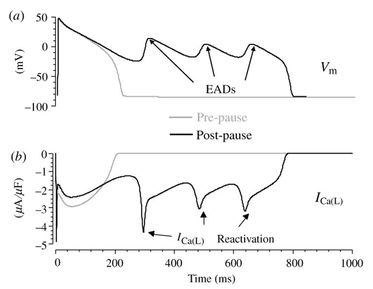 Fig. 15