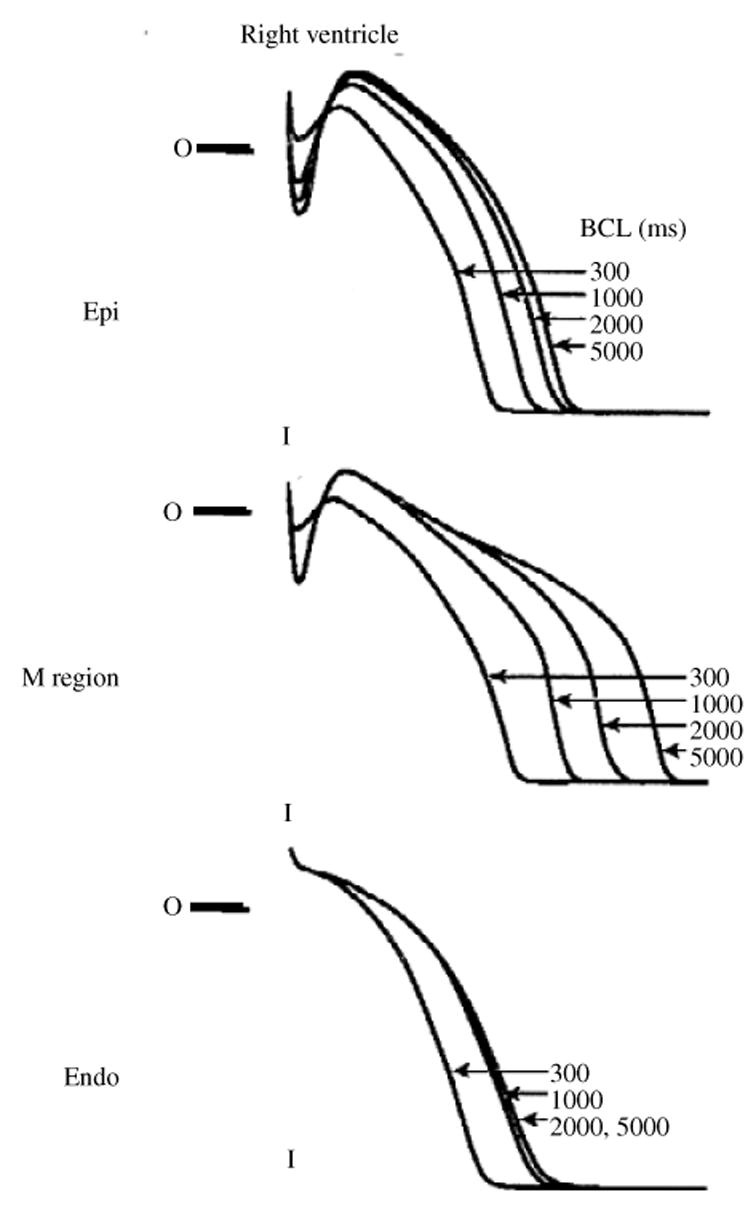 Fig. 20