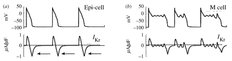 Fig. 29