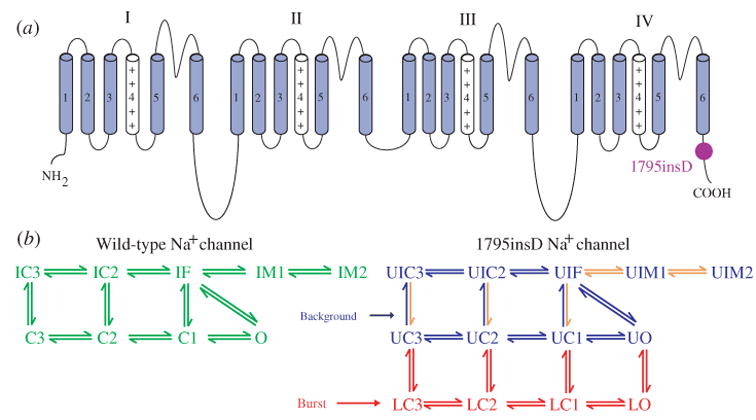 Fig. 16