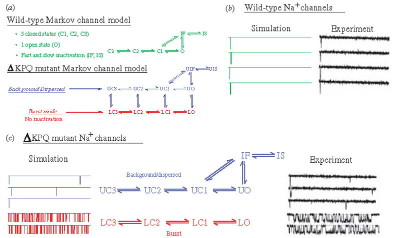 Fig. 12