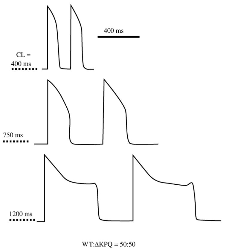 Fig. 14