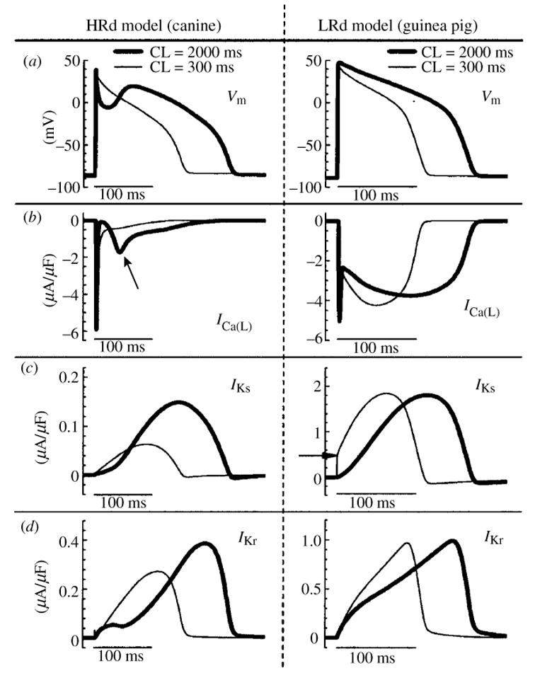 Fig. 10