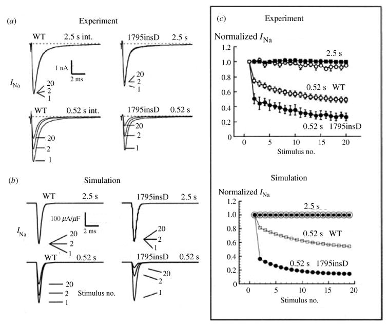 Fig. 19