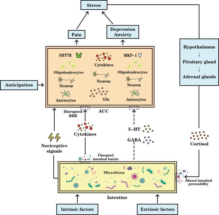 FIGURE 2