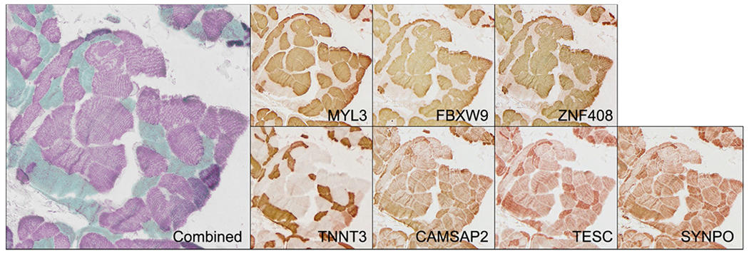 Figure 3.