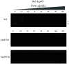 FIG 6