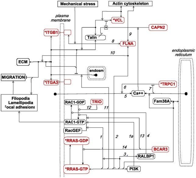 Figure 11