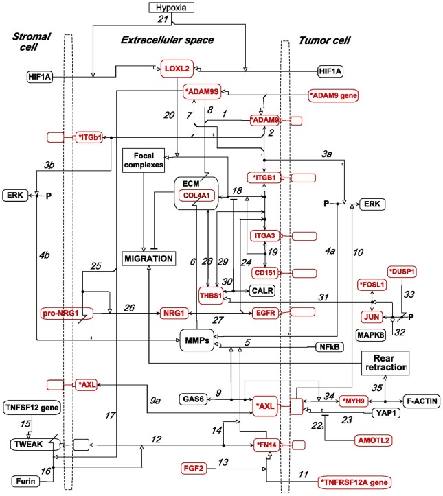 Figure 12