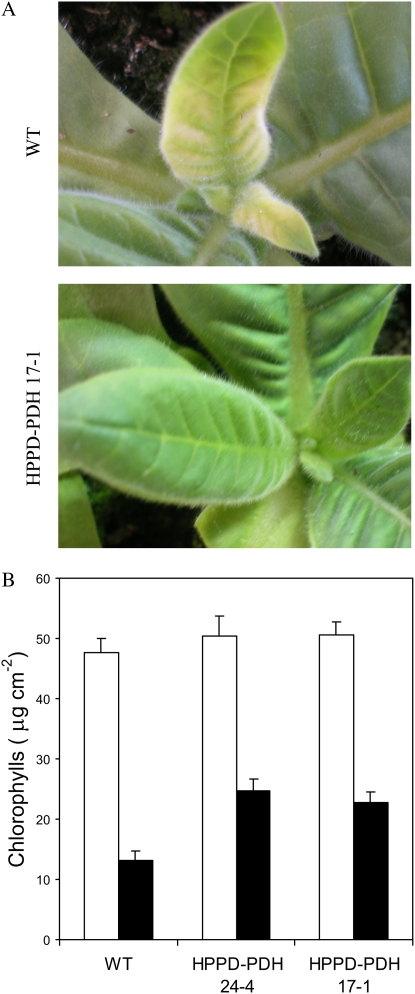 Figure 10.