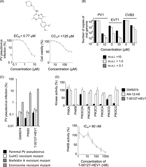 FIG. 1.