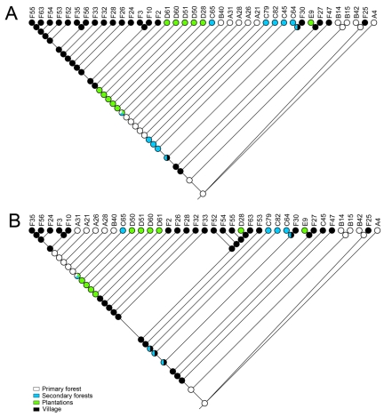 FIG 1 