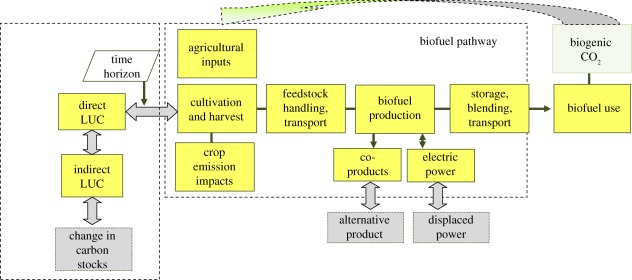 Figure 1.