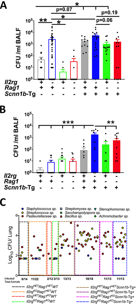 Figure 2: