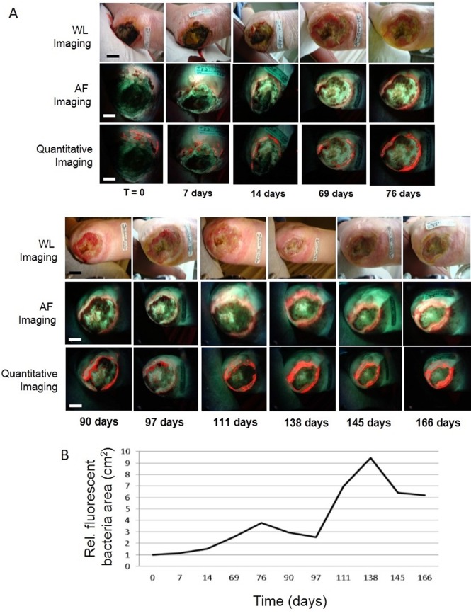 Fig 6