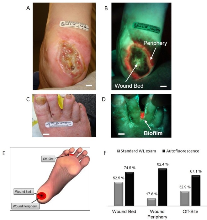 Fig 4