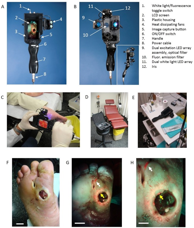 Fig 3