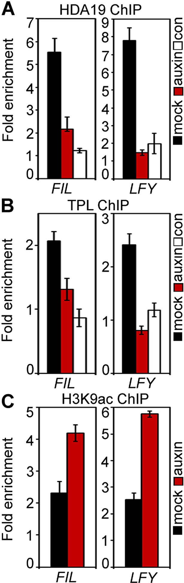 Figure 5—figure supplement 1.