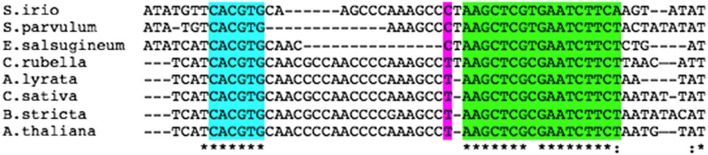 Figure 8—figure supplement 1.